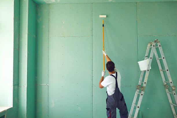Best Black Mold Removal  in Cedartown, GA