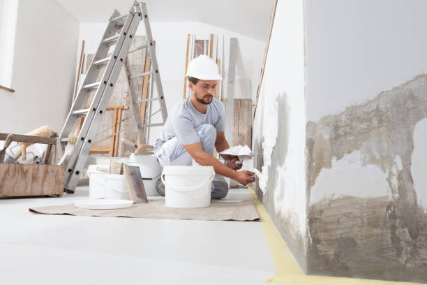 Best Basement Mold Removal  in Cedartown, GA