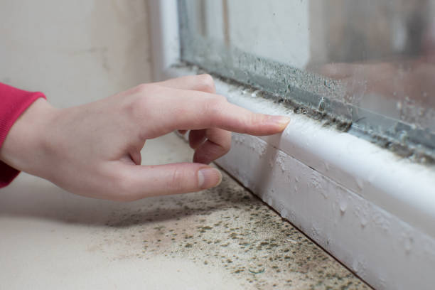 Best Industrial Mold Remediation  in Cedartown, GA
