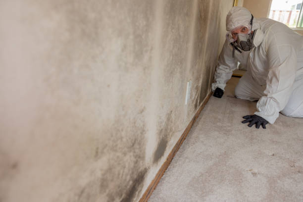 Best Forensic Mold Investigation  in Cedartown, GA