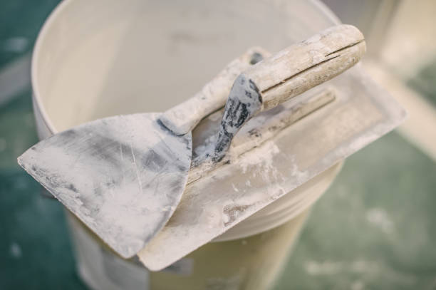 Best Mold Documentation for Insurance Claims  in Cedartown, GA