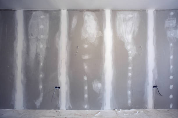 Best Mold Damage Restoration  in Cedartown, GA