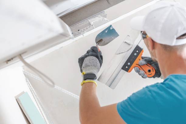  Cedartown, GA Mold Removal Pros